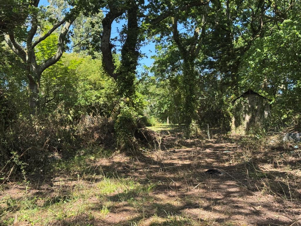 Lot: 159 - DETACHED BUNGALOW WITH POTENTIAL ON 1.6 ACRE PLOT - The Garden to the Rear